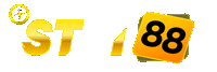STM88 Logo